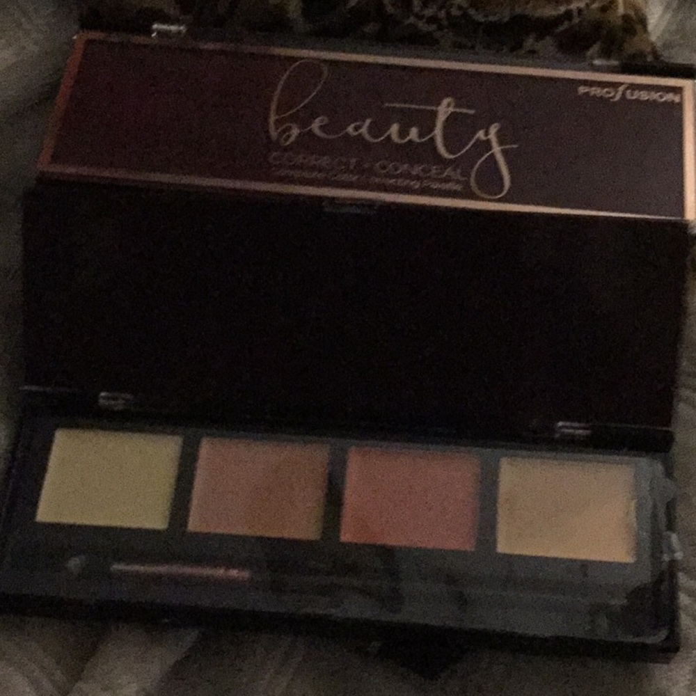 2 Profusion corrector +concealer